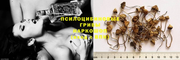 apvp Сосновый Бор